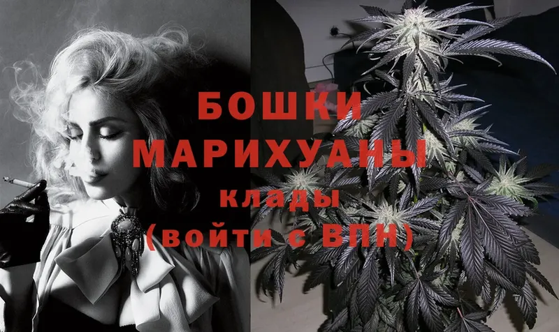 Марихуана White Widow  как найти   Великие Луки 